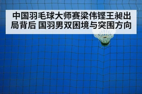badminton shuttlecock on court